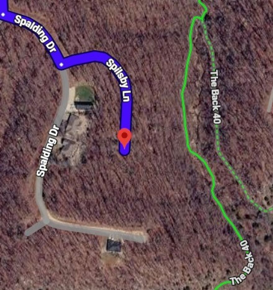 Build your dream home on this .32 acre lot that overlooks the Back 40 Trail.  Surrounded by nature, this sloped property offers a peaceful setting and has already been perked for a 3-bedroom home, giving you a head start on your build plans.  Enjoy the privacy on this no-through street and the natural setting while still being close to area amenities. Bella Vista residents enjoy access to seven golf courses, multiple scenic lakes for boating and fishing, parks, recreation centers, swimming pools, tennis and pickleball courts, and an extensive trail system. Experience the beauty, recreation, and lifestyle that make Bella Vista a sought-after place to call home.