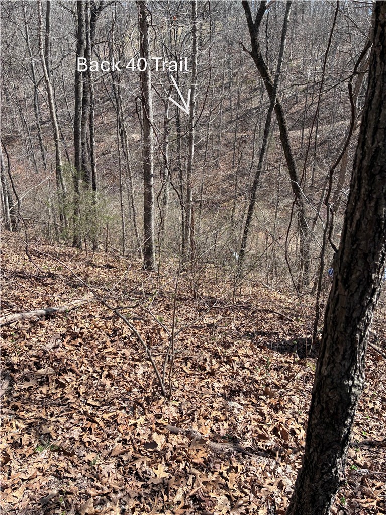 Lincoln Sub Bvv - Land