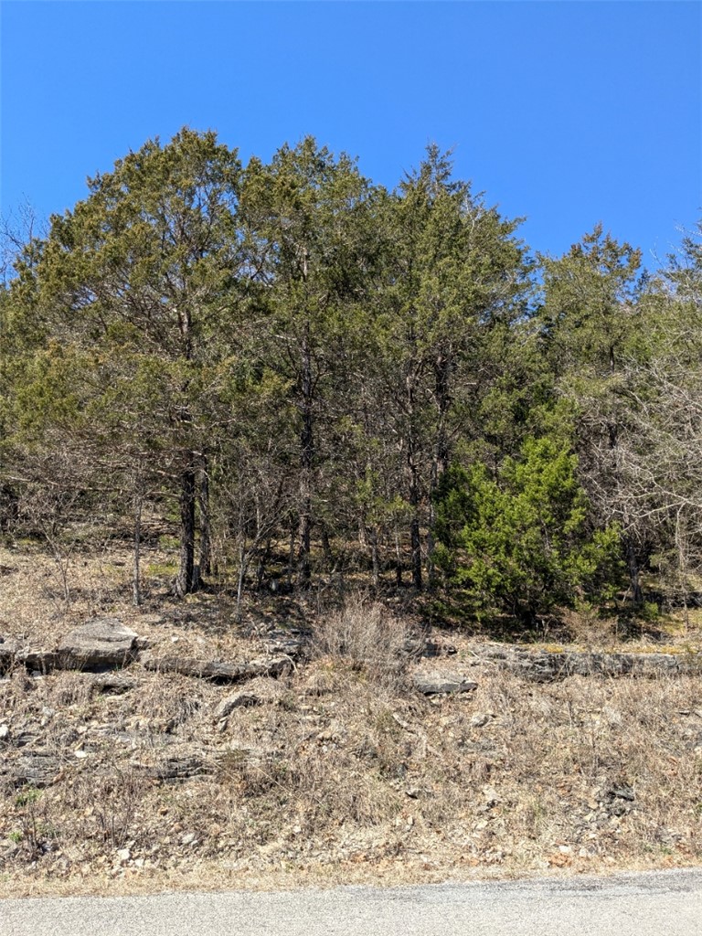 Unit 5 Holiday Island - Land