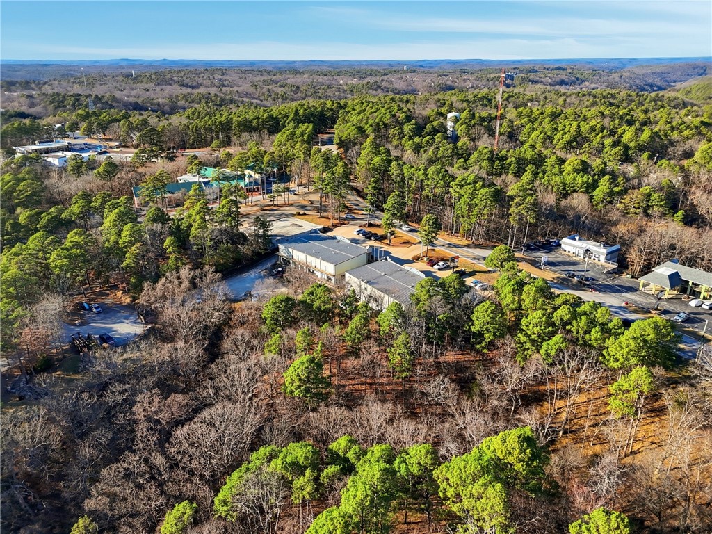 BIRD TRACTS - Commercial Lease