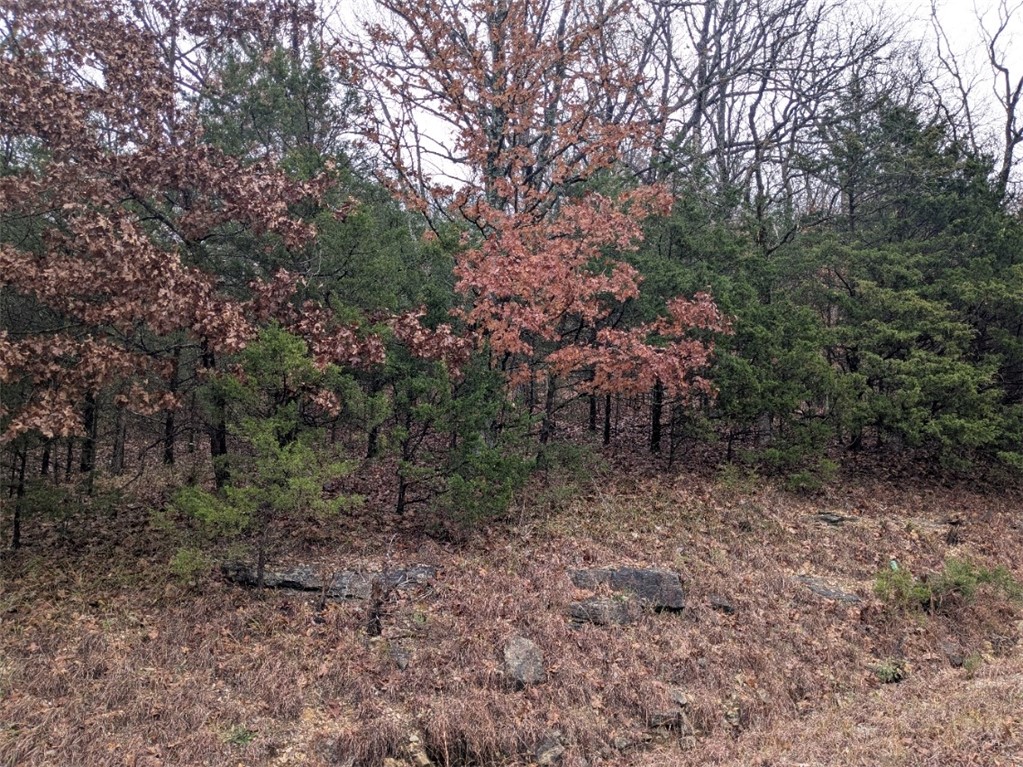 Unit 2 Holiday Island - Land