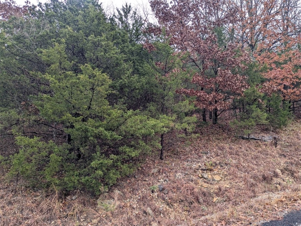 Unit 2 Holiday Island - Land