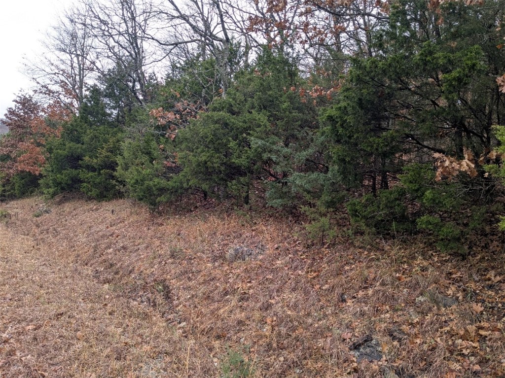 Unit 2 Holiday Island - Land