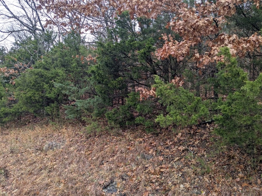 Unit 2 Holiday Island - Land