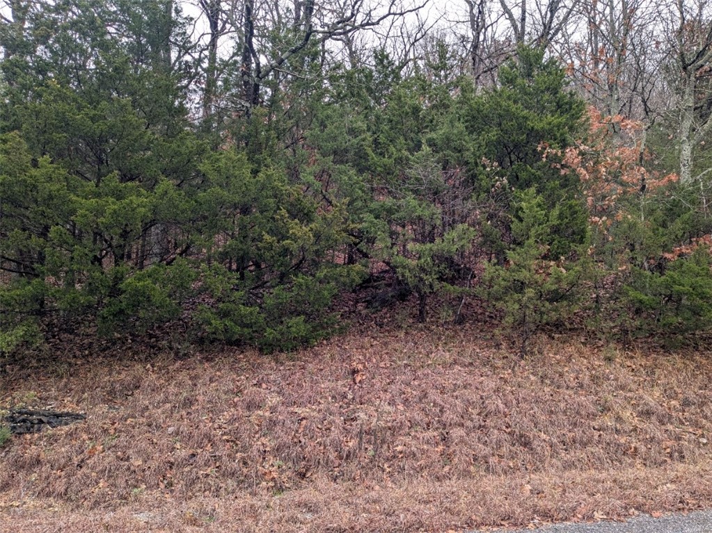 Unit 2 Holiday Island - Land