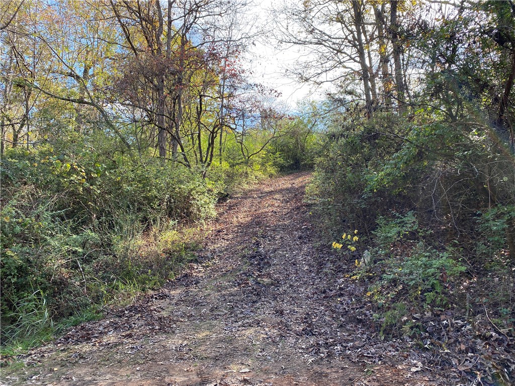 Meadowlake Estates - Land