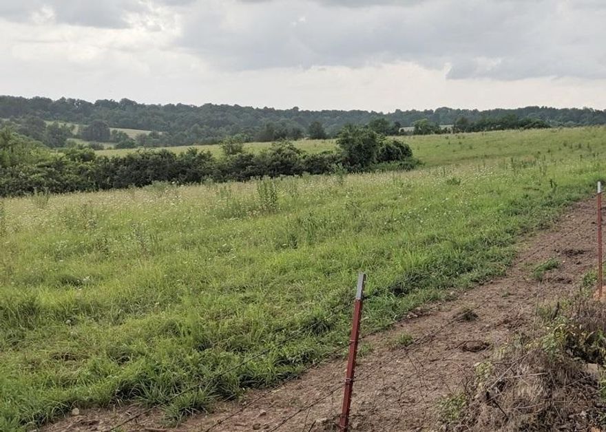 Beautiful rolling pastures with an old home place just waiting to be restored.  Beautiful views, fenced and cross fenced, trees, great for cattle and adjoins the city limits. Water, gas, electric and sewer available.  Between Baughman subdivision, wellington subdivision, and Big Oak estates.  Many home sites. perfect to subdivide into 10 acre parcels. Perfect for cattle or equine