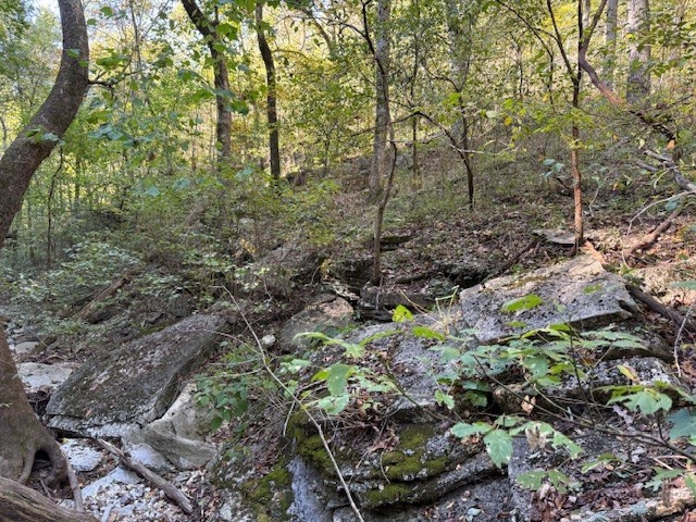 Rush Estates Rurban - Land