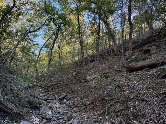 Rush Estates Rurban - Land