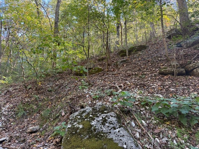 Rush Estates Rurban - Land