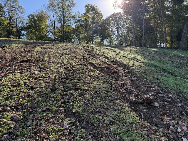 Rush Estates Rurban - Land