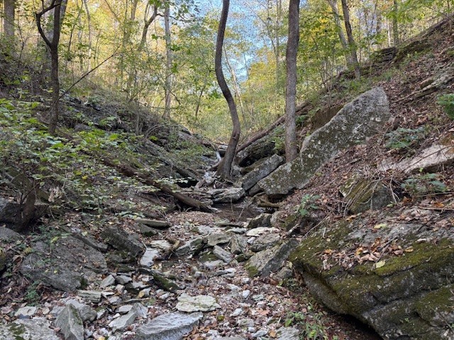 Rush Estates Rurban - Land