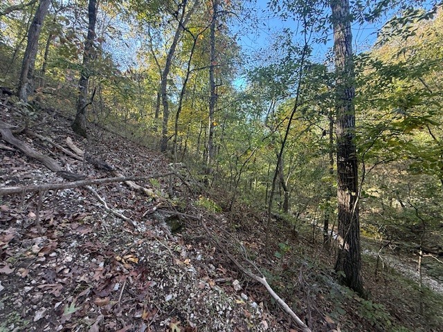 Rush Estates Rurban - Land