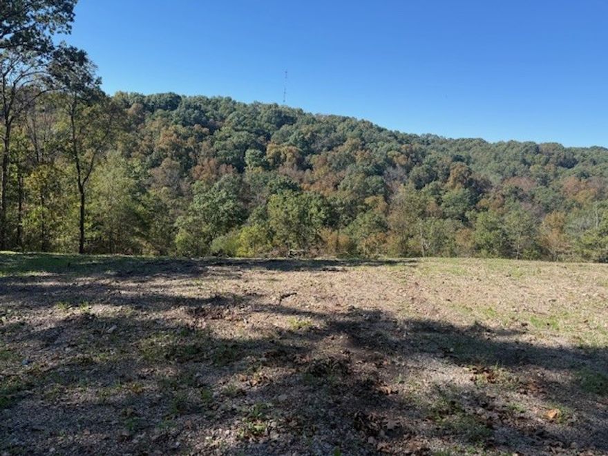 Recently cleared beautiful lot tucked between Bentonville and Bella Vista. This lot is a full 2 acres that is minutes from all of the amenities of NWA but still has that rural privacy feel. A natural spring cradled at the bottom is an absolute must see to appreciate.