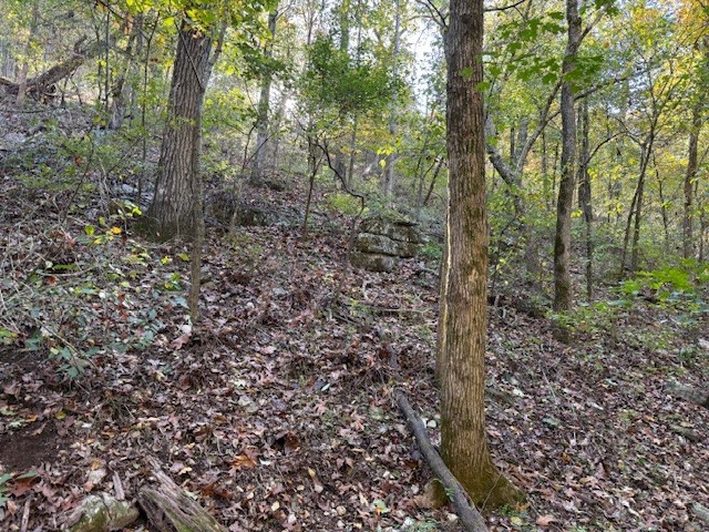 Rush Estates Rurban - Land