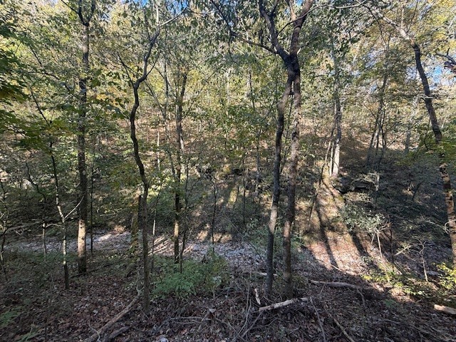 Rush Estates Rurban - Land