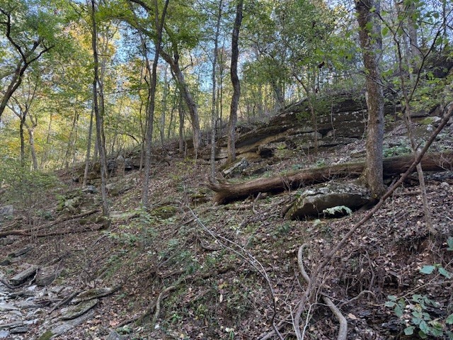 Rush Estates Rurban - Land