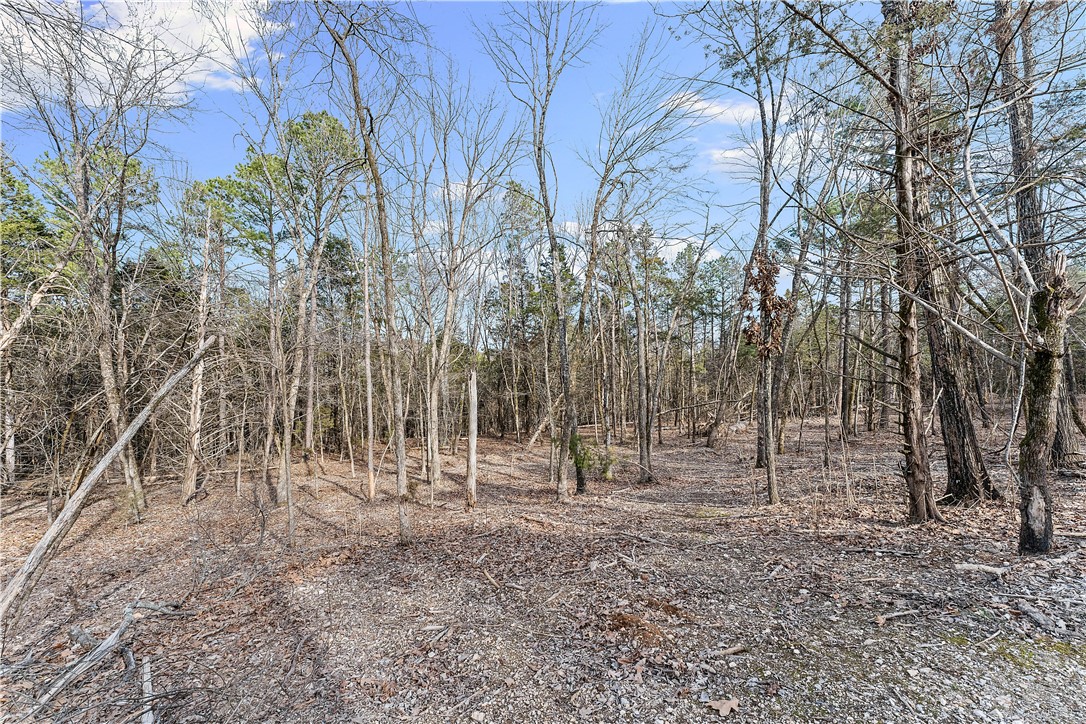 Bristol Bay Estates Rurban - Land