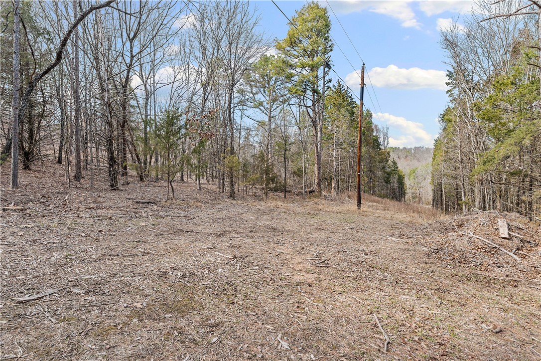 Bristol Bay Estates Rurban - Land