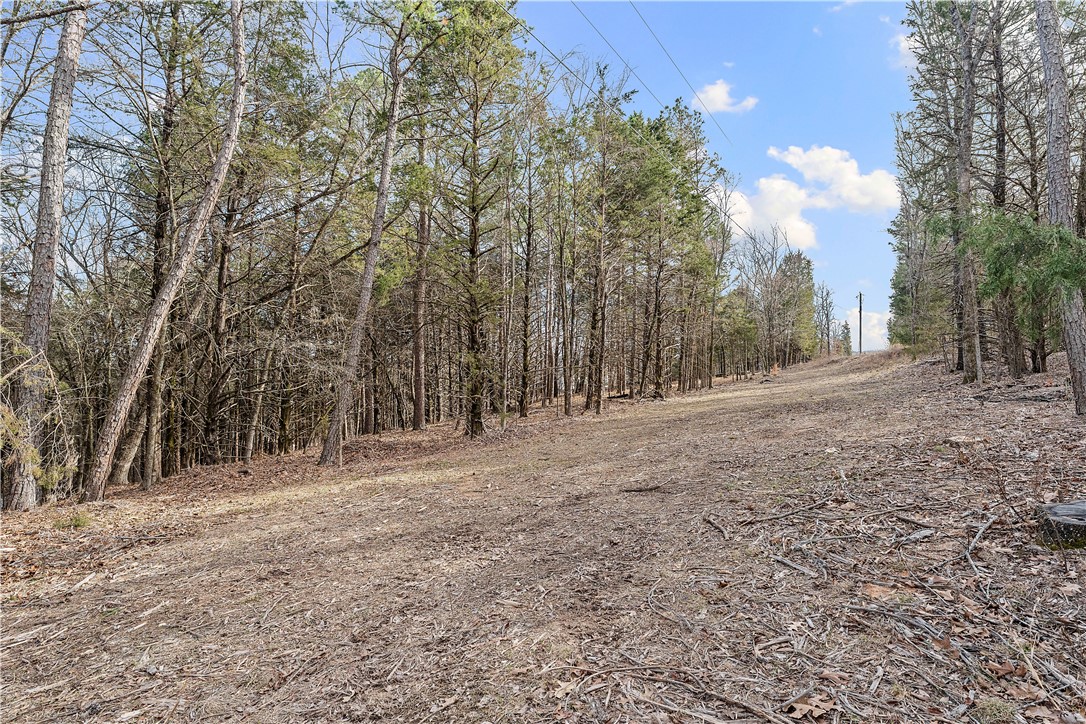 Bristol Bay Estates Rurban - Land
