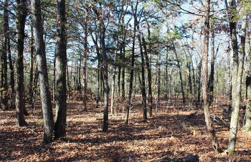 A hunter’s paradise with thousands of corp. acres joining this 40-acre property. Access from lake and corp. or from old trail off county road.
Buyer to confirm legal access.