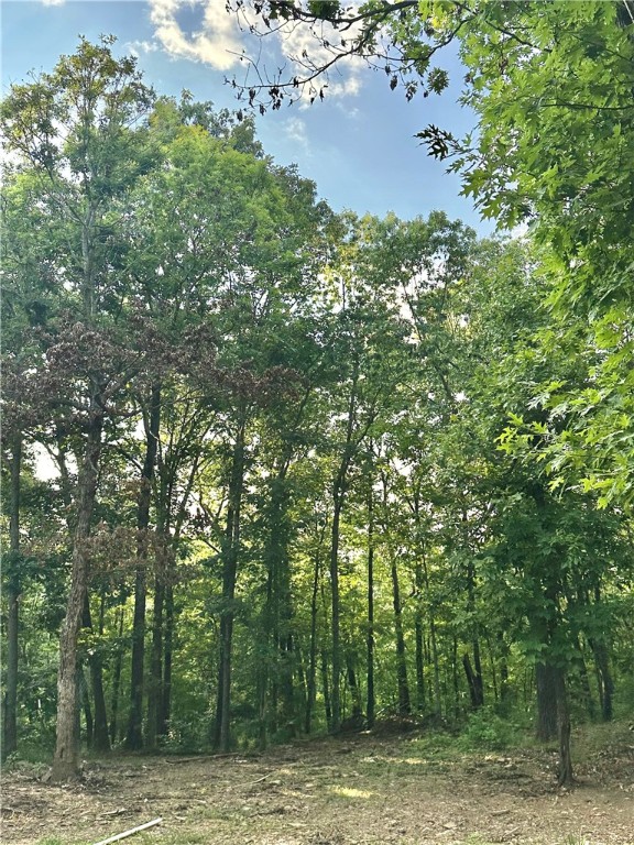 Subdivision:19-15-29 - Land