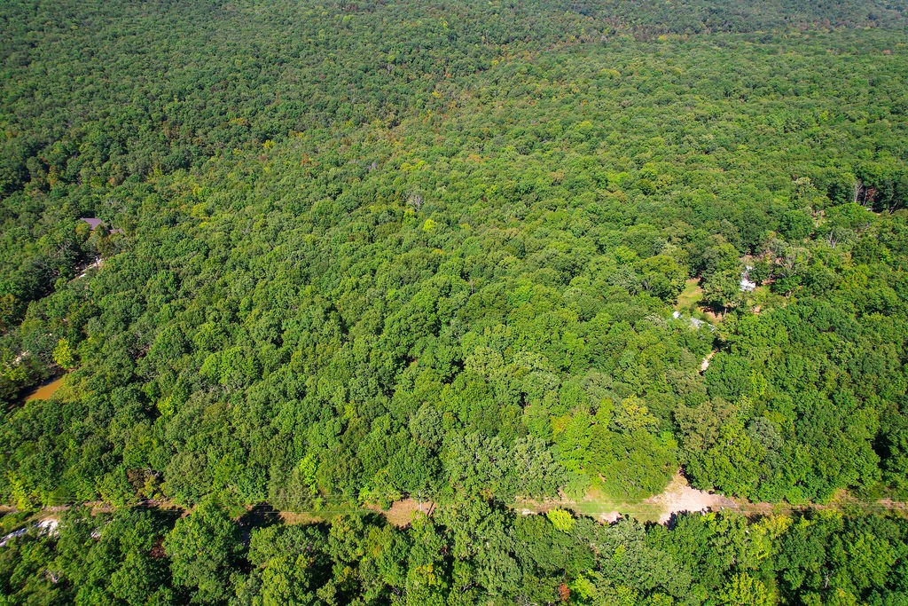 Subdivision:19-15-29 - Land