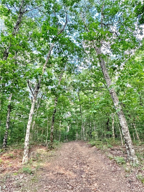 Subdivision:19-15-29 - Land