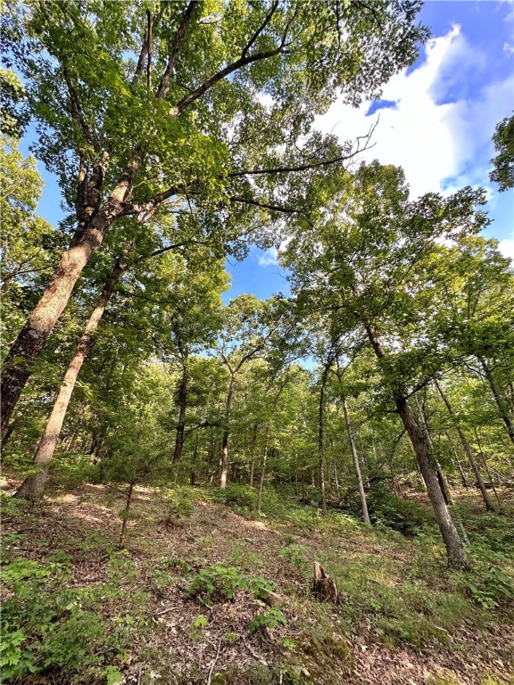Build your dream home or great hunting or recreation property and all less than 20 minutes to downtown Fayetteville. Beautiful majestic trees throughout this beautiful 11+ acres. Nice County maintained road with easy access. Hunt for deer, turkey and more. What a great area to have a small hobby farm, secluded yet still close to everything. Locate property with 14790 Slaty Gap Rd on GPS. Also listed at same address: MLS #'s 1310924 & 1310426