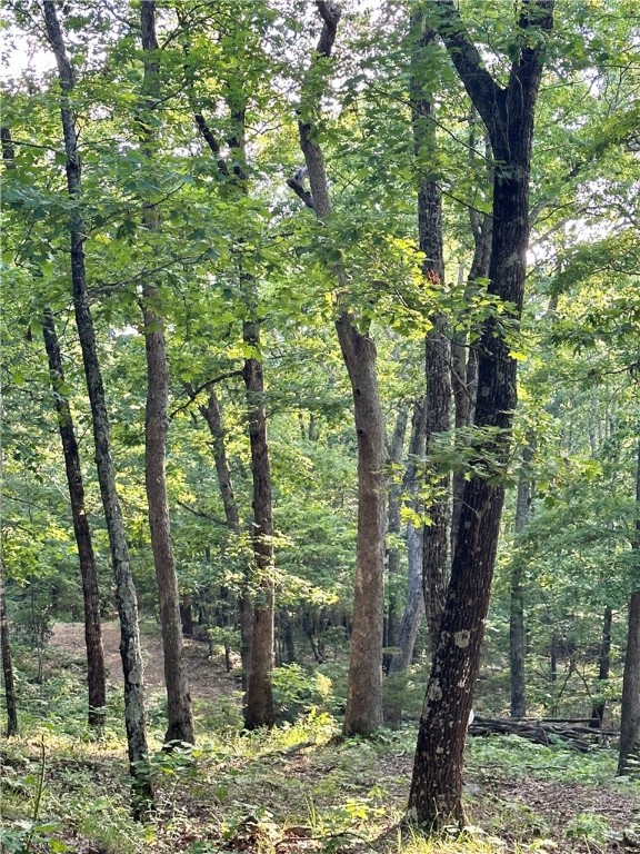 Subdivision:19-15-29 - Land