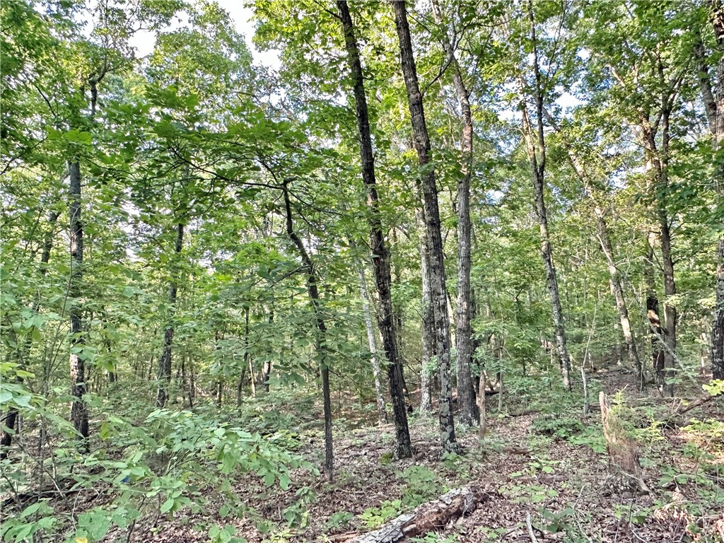 Subdivision:19-15-29 - Land