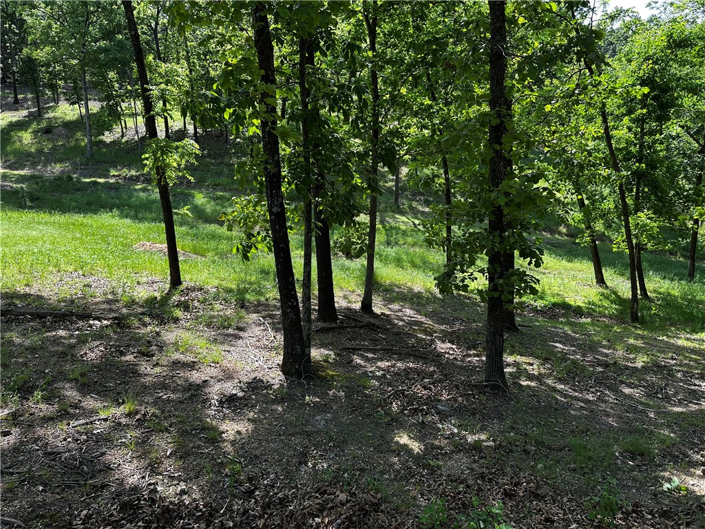 Tanglewood Resort 2 - Land