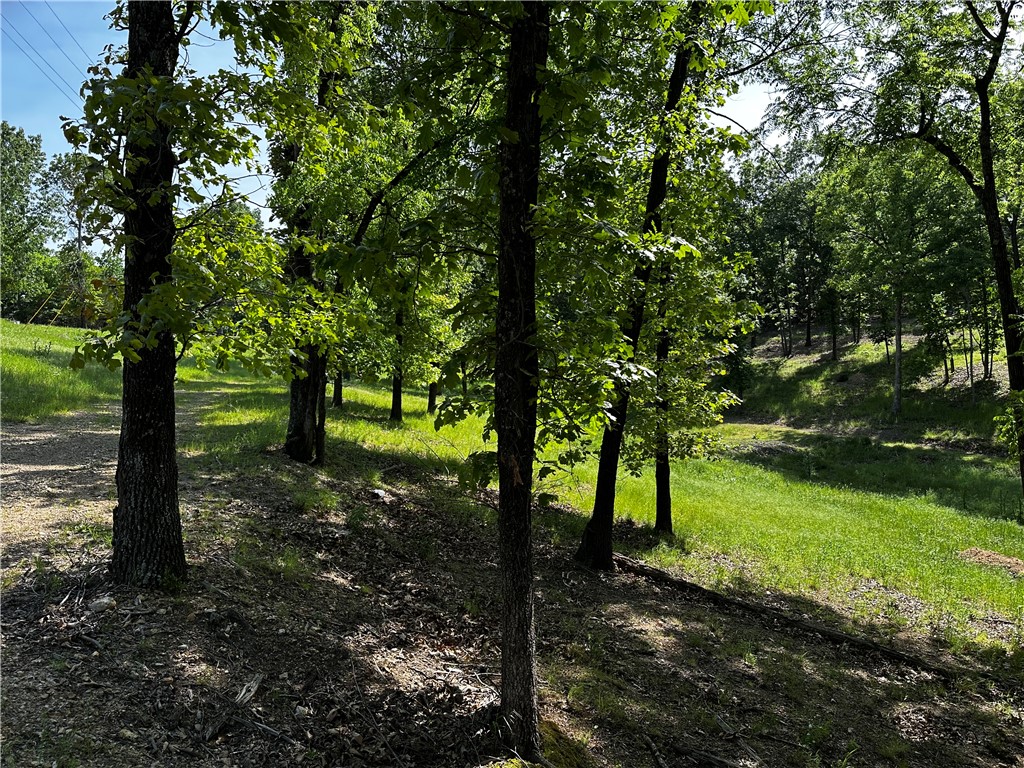Tanglewood Resort 2 - Land