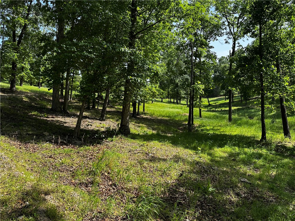 Tanglewood Resort 2 - Land