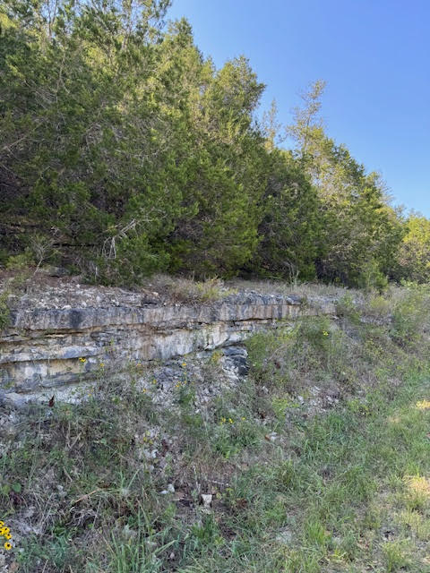 Unit 5 Holiday Island - Land