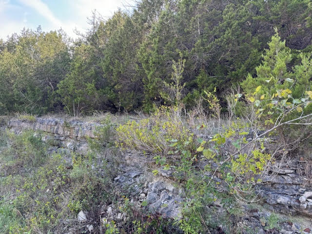 Unit 5 Holiday Island - Land