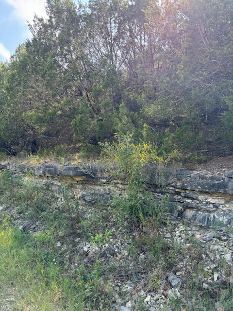 Unit 5 Holiday Island - Land