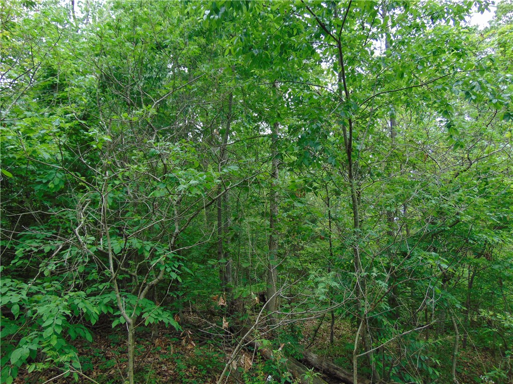 Nice sized lot in area close to Branchwood. No sellers disclosure on file. No perk test or survey has been done.