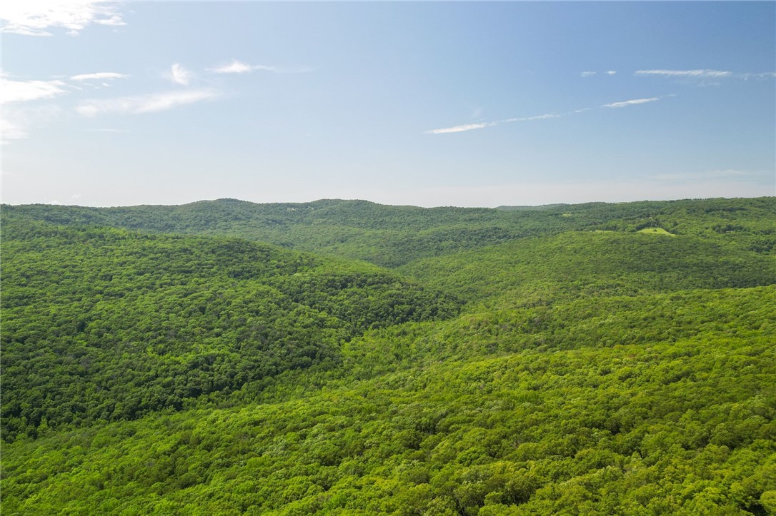 Ozark National Forest - Residential