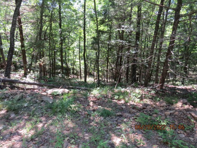 Mark Brewer I - Land