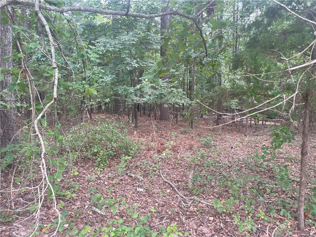 Beaver Shores - Land