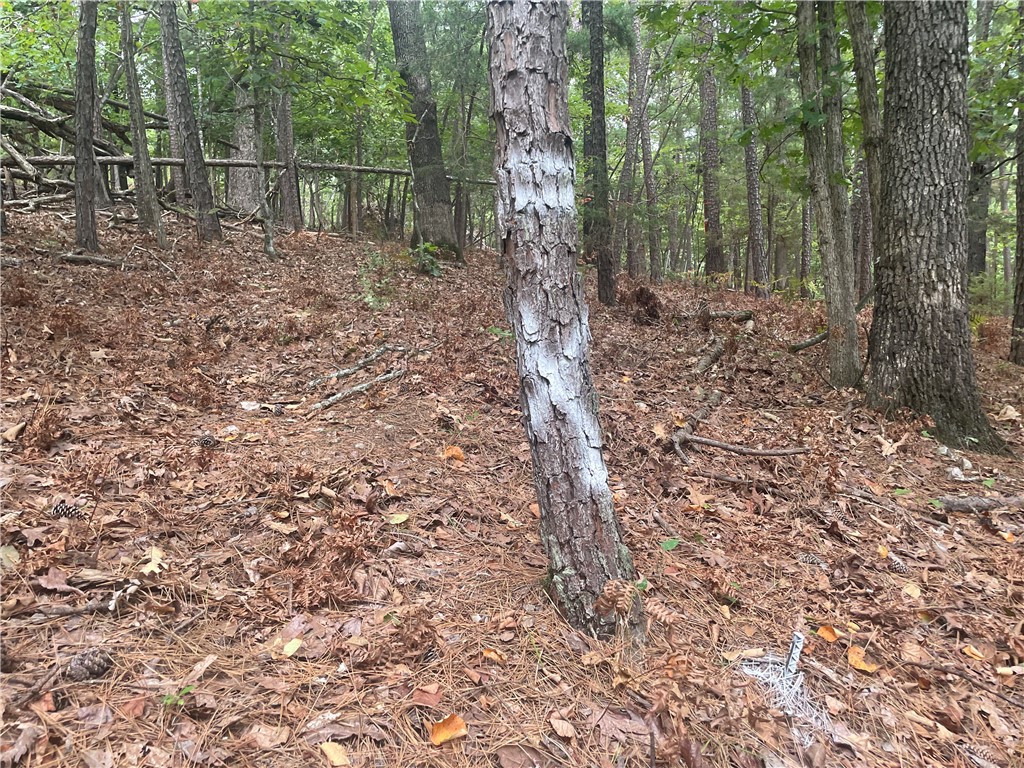 Beaver Shores - Land