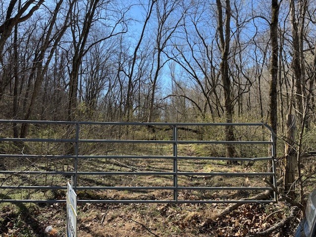 06-20-32 Rural - Land