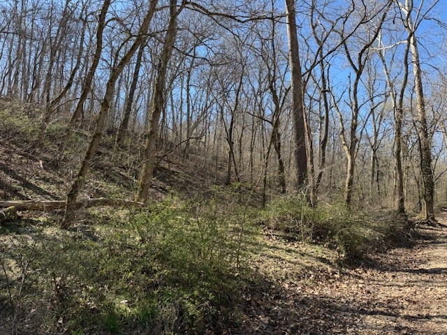 06-20-32 Rural - Land