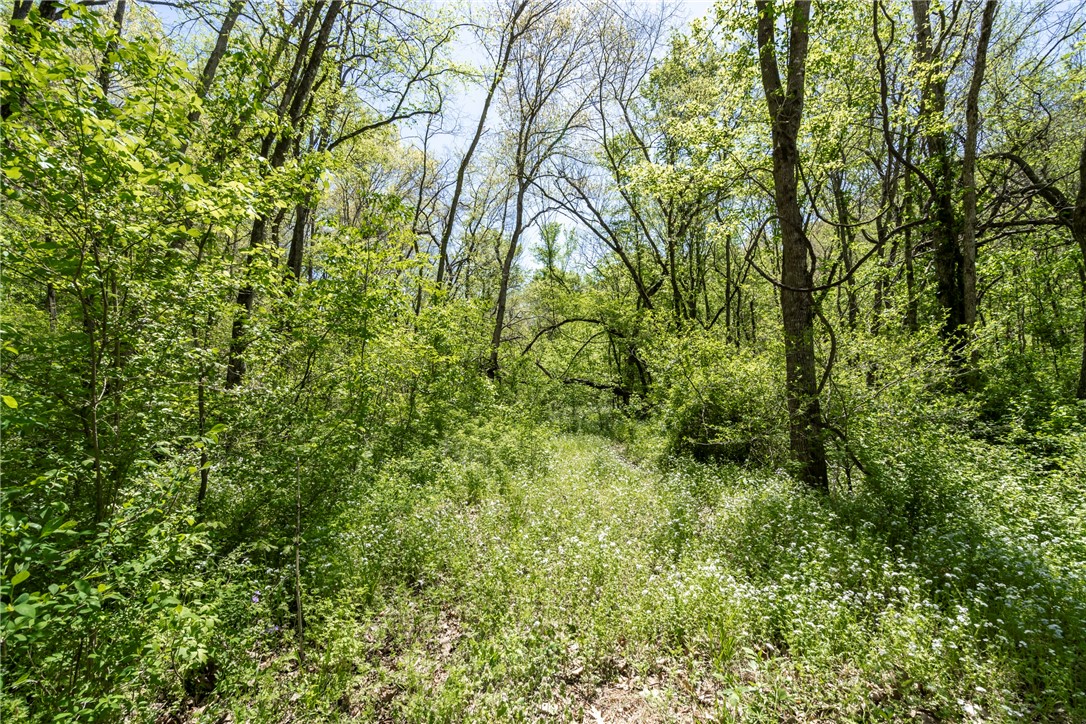 06-20-32 Rural - Land