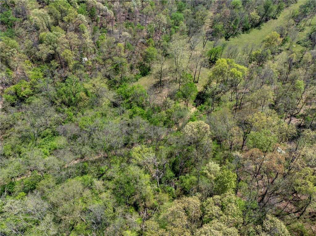 06-20-32 Rural - Land