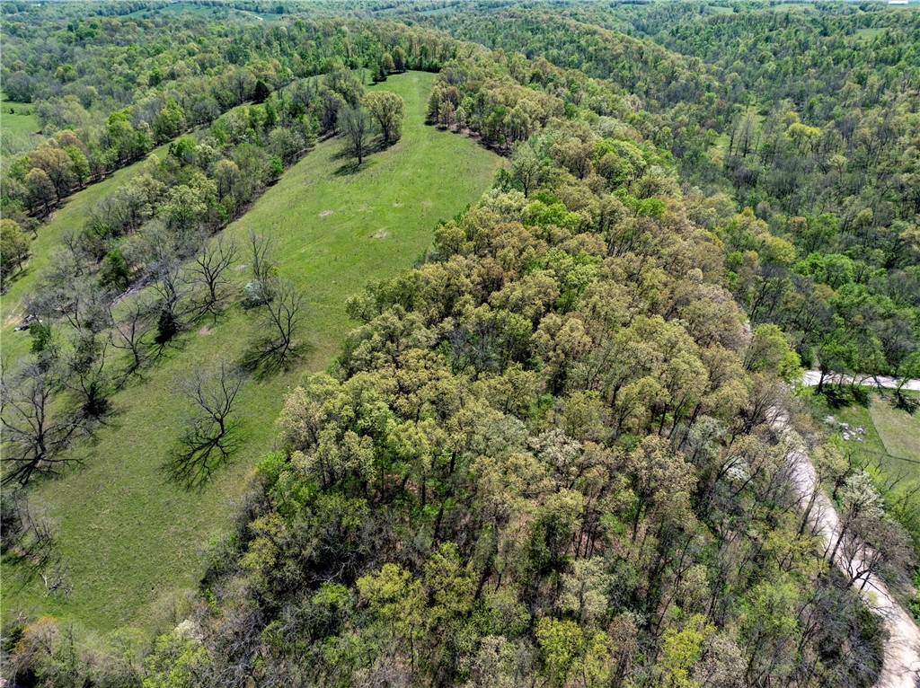 06-20-32 Rural - Land