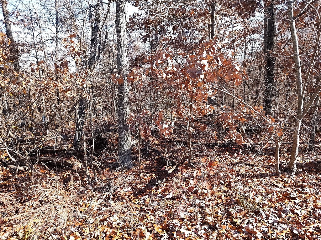 Nice Level corner lot in Bella Vista. Enjoy the outdoors with walking trails, biking trails, Golf courses and lakes.