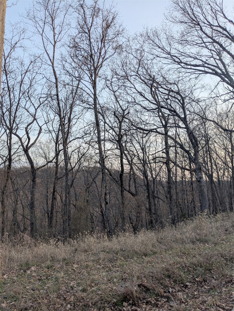 Unit 2 Holiday Island - Land