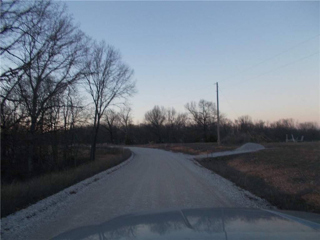 Photo 4 of 4 of Tract 1 Oriole land